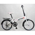 Strong City Folding Bike (FP-FDB-D019)